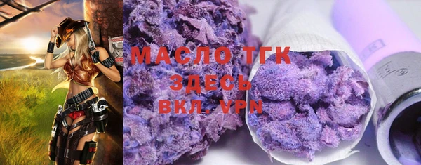 индика Анжеро-Судженск