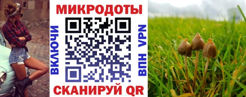 Галлюциногенные грибы Psilocybine cubensis  Купить  Бирюч 
